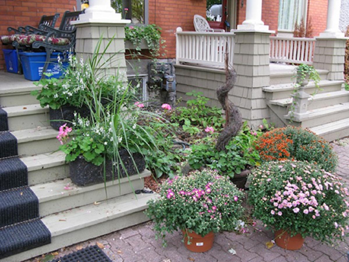 Avalon Bed And Breakfast Ottawa Kültér fotó